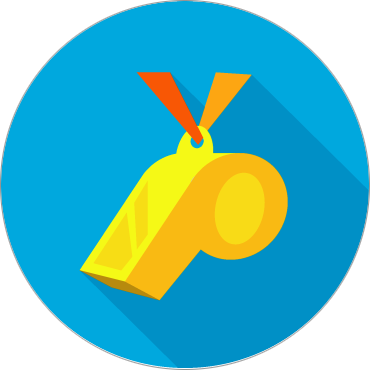 skills_system_coach coach